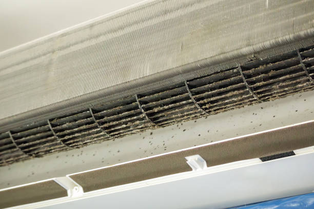 Best Air Duct Cleaning Near Me  in South Huntington, NY